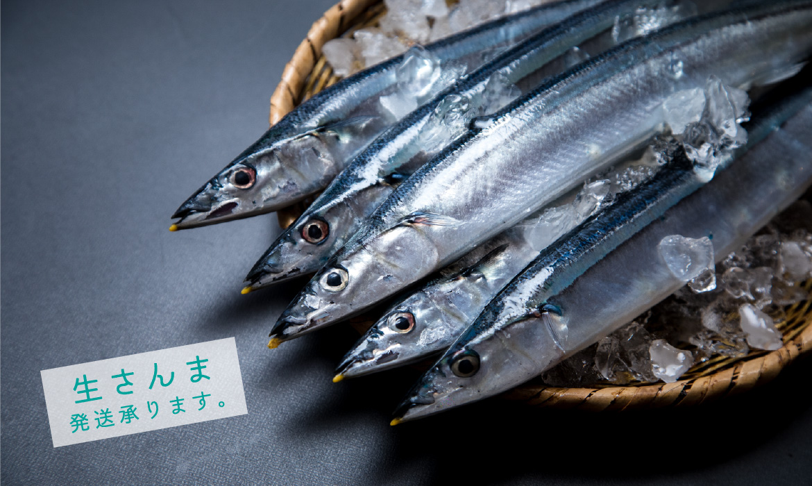 ニュース ワイケイ水産株式会社